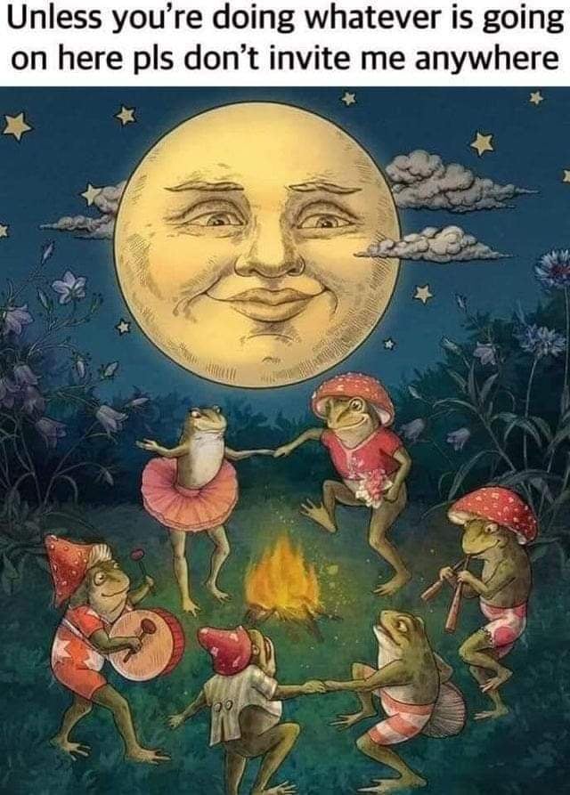 This meme is an image of a group of frogs sitting around a campfire, with one of them looking at the moon and saying "I invite you to come to my thing, unless you're doing something else." The image is humorous because it's a playful and unexpected take on the classic "I invite you to come to my thing" phrase, and the frogs' silly and innocent nature adds to the comedic effect. The text at the top of the image reads "Unless you're doing something else" in a sarcastic tone.